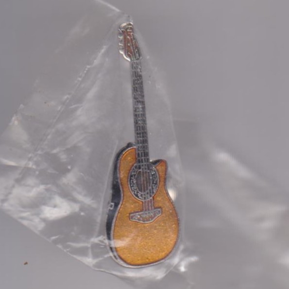 Guitar pin