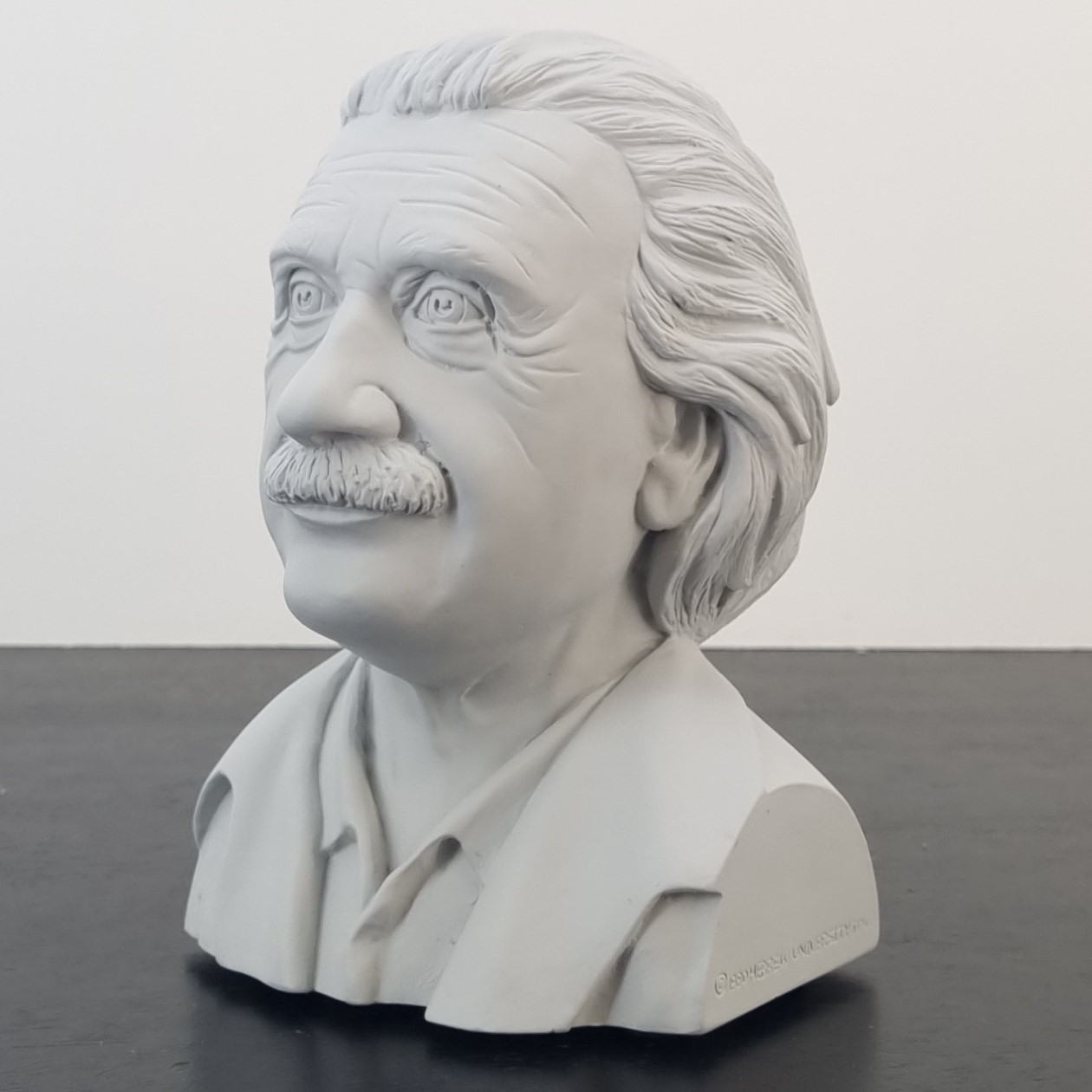 Albert Einstein Bust _left front